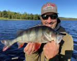 Geecrack Revival Shad 4 inch (10 cm) Geecrack Revival Shad 4 inch (10 cm)